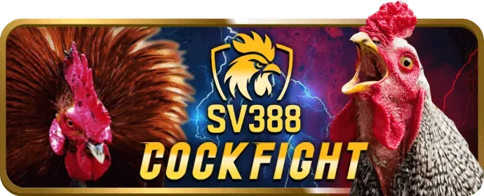 Vòng quay miễn phí hh888 nhà cái
