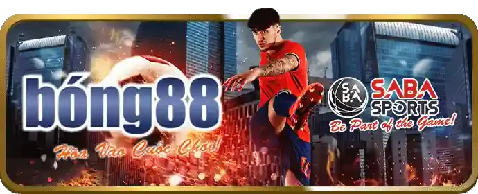 Quản lý tài khoản cá nhân tại hh888 nhà cái